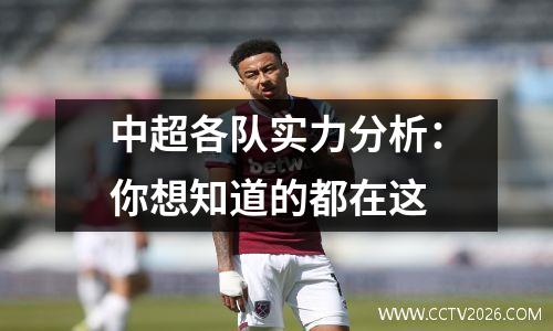 中超各队实力分析：你想知道的都在这