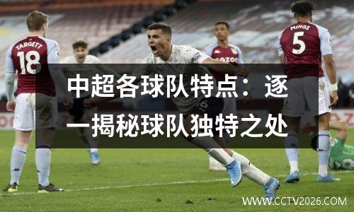 中超各球队特点：逐一揭秘球队独特之处