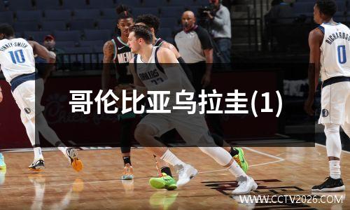 哥伦比亚乌拉圭(1)