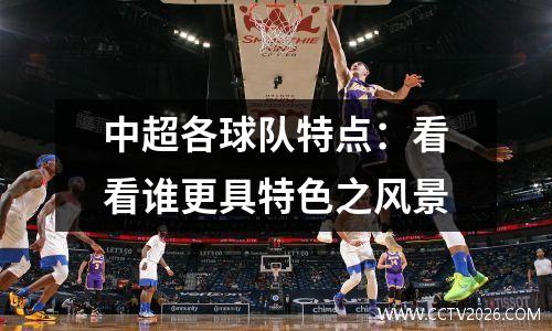 中超各球队特点：看看谁更具特色之风景