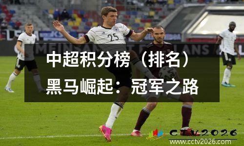 中超积分榜（排名）黑马崛起：冠军之路
