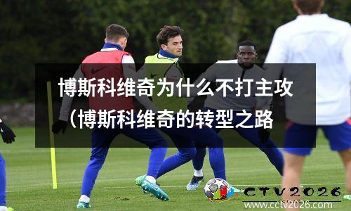 博斯科维奇为什么不打主攻（博斯科维奇的转型之路