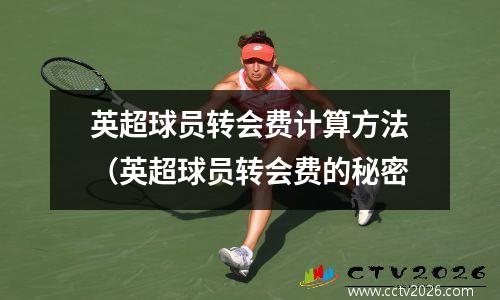 英超球员转会费计算方法（英超球员转会费的秘密
