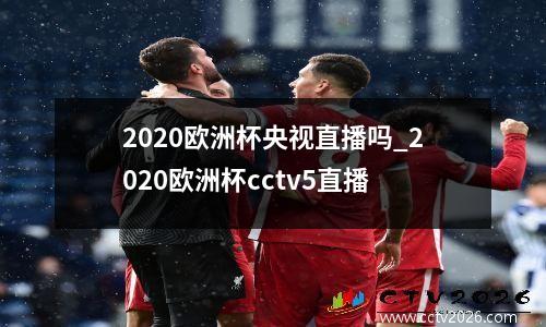 2020欧洲杯央视直播吗_2020欧洲杯cctv5直播
