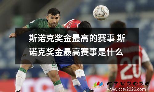 斯诺克奖金最高的赛事 斯诺克奖金最高赛事是什么