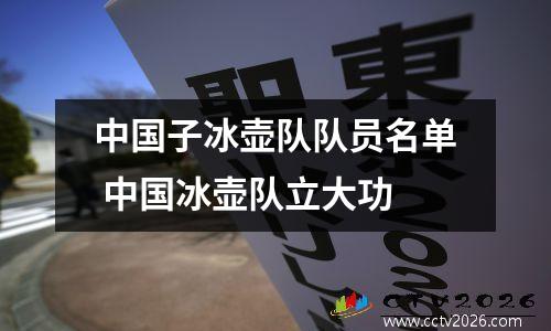 中国子冰壶队队员名单 中国冰壶队立大功