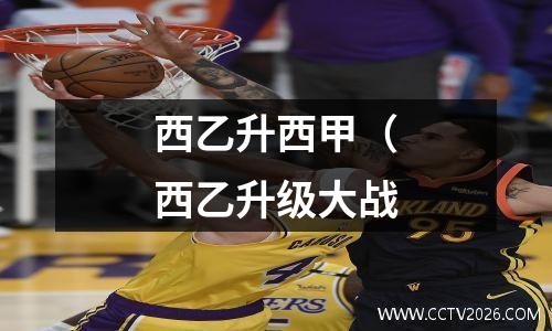西乙升西甲（西乙升级大战