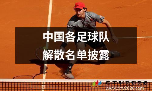中国各足球队解散名单披露