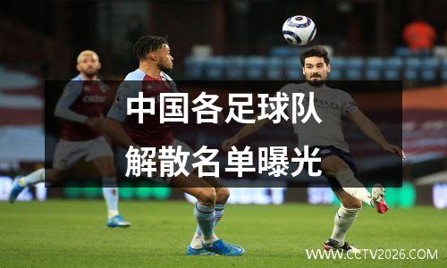 中国各足球队解散名单曝光