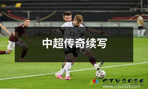 中超传奇续写