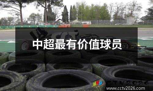 中超最有价值球员