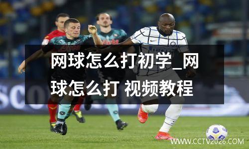 网球怎么打初学_网球怎么打 视频教程