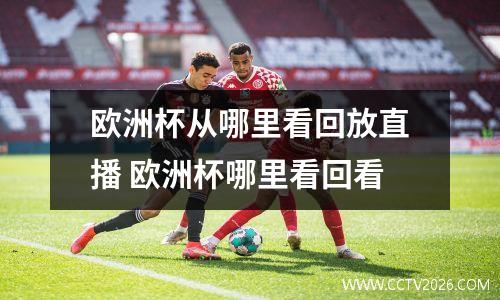 欧洲杯从哪里看回放直播 欧洲杯哪里看回看