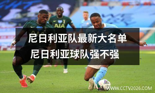 尼日利亚队最新大名单 尼日利亚球队强不强