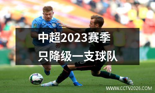 中超2023赛季只降级一支球队