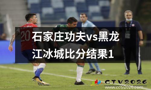 石家庄功夫vs黑龙江冰城比分结果1