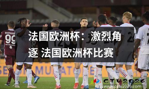 法国欧洲杯：激烈角逐 法国欧洲杯比赛