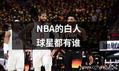 NBA的白人球星都有谁