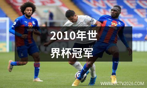 2010年世界杯冠军