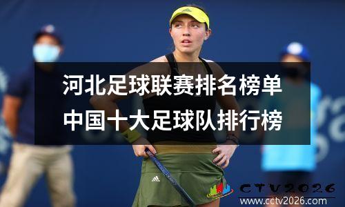 河北足球联赛排名榜单中国十大足球队排行榜