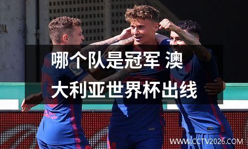 哪个队是冠军 澳大利亚世界杯出线