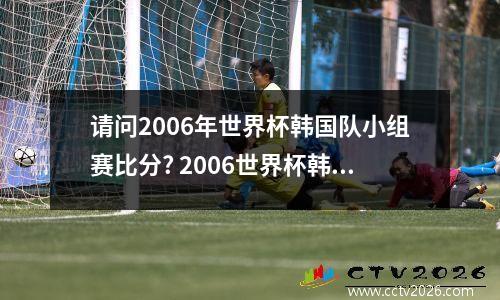 请问2006年世界杯韩国队小组赛比分? 2006世界杯韩国对法国