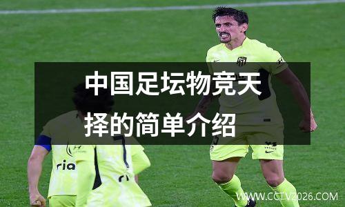 中国足坛物竞天择的简单介绍