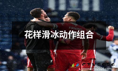 花样滑冰动作组合