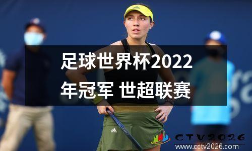 足球世界杯2022年冠军 世超联赛