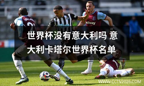 世界杯没有意大利吗 意大利卡塔尔世界杯名单