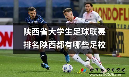 陕西省大学生足球联赛排名陕西都有哪些足校