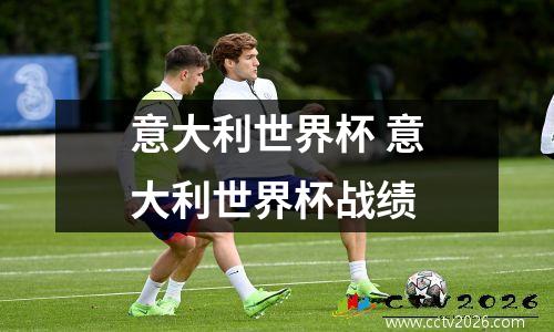 意大利世界杯 意大利世界杯战绩