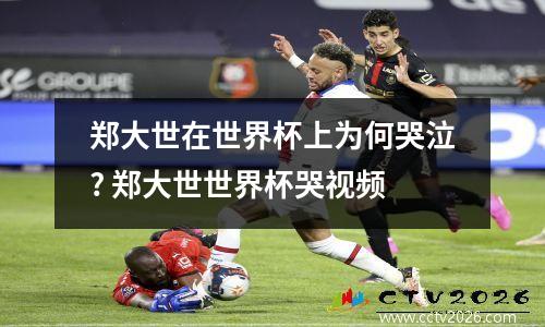 郑大世在世界杯上为何哭泣? 郑大世世界杯哭视频