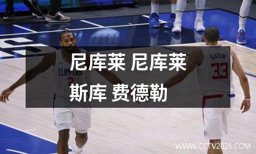 尼库莱 尼库莱斯库 费德勒