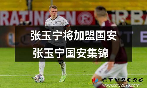 张玉宁将加盟国安 张玉宁国安集锦
