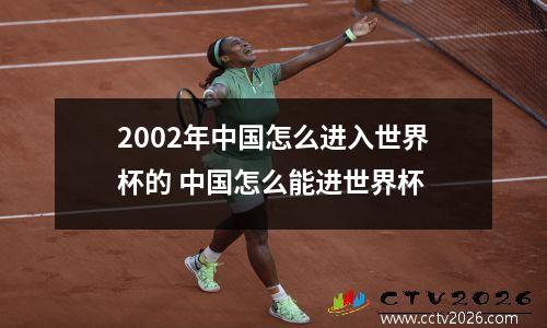 2002年中国怎么进入世界杯的 中国怎么能进世界杯