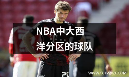 NBA中大西洋分区的球队