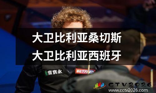 大卫比利亚桑切斯 大卫比利亚西班牙