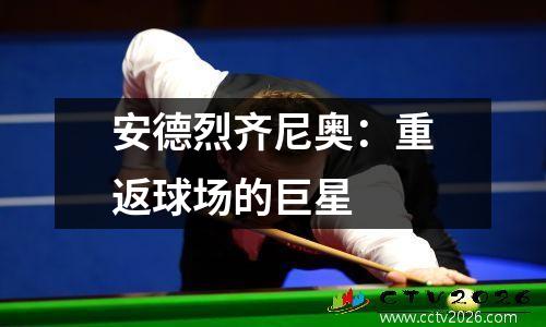 安德烈齐尼奥：重返球场的巨星