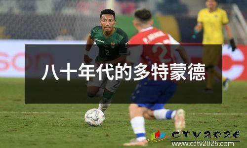 八十年代的多特蒙德