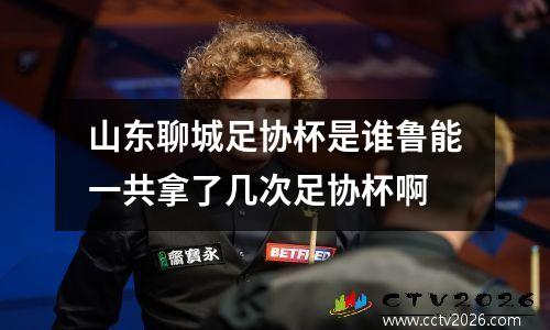 山东聊城足协杯是谁鲁能一共拿了几次足协杯啊