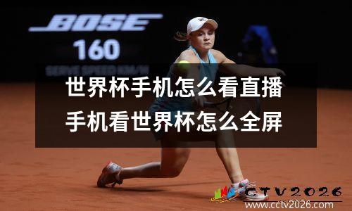 世界杯手机怎么看直播 手机看世界杯怎么全屏