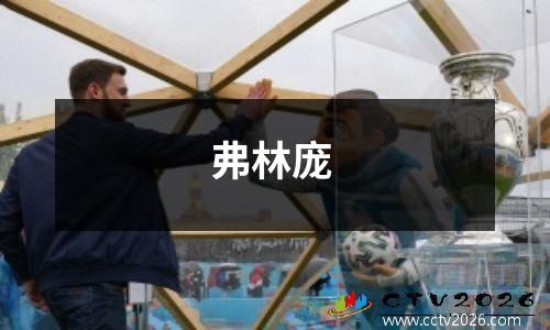 弗林庞