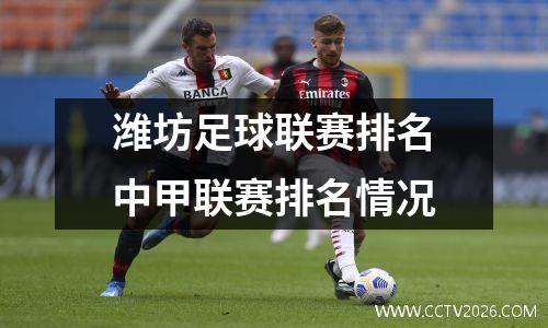 潍坊足球联赛排名中甲联赛排名情况