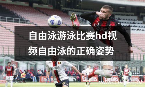 自由泳游泳比赛hd视频自由泳的正确姿势