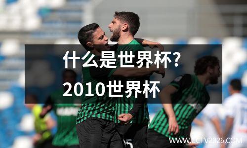 什么是世界杯? 2010世界杯
