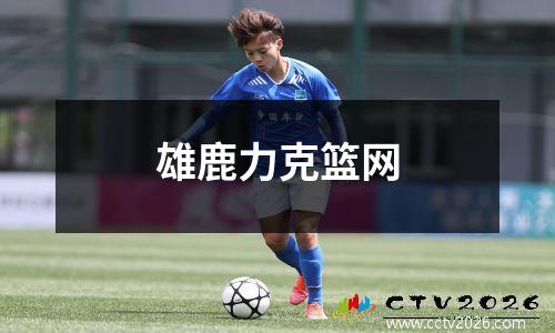 雄鹿力克篮网