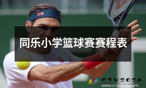 同乐小学篮球赛赛程表