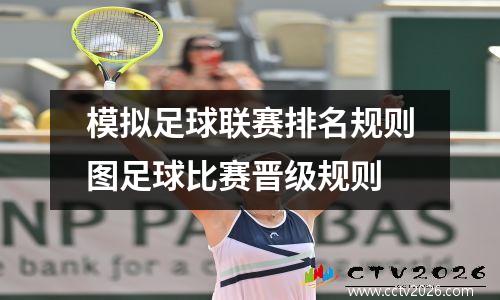 模拟足球联赛排名规则图足球比赛晋级规则