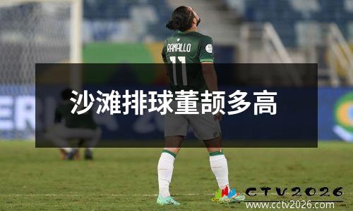 沙滩排球董颉多高